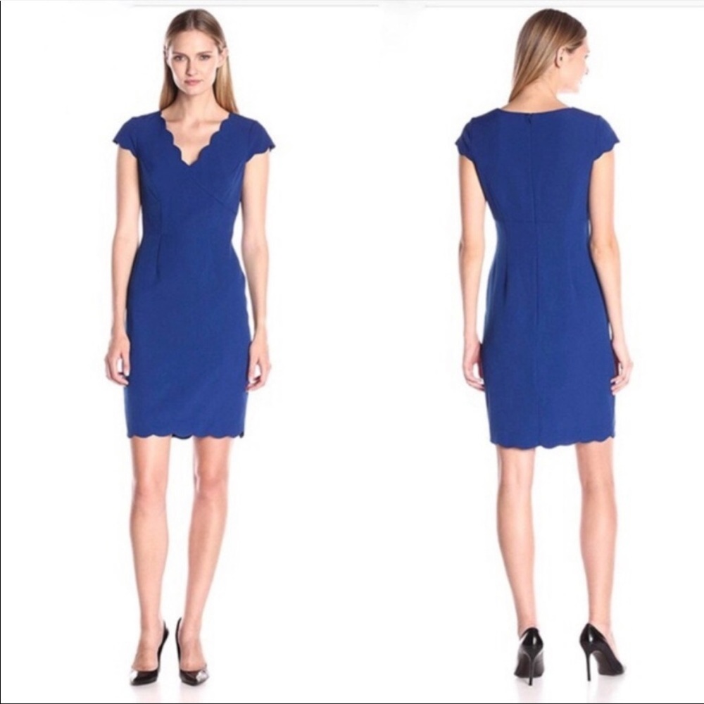 Adrianna Papell Cobalt Scalloped V-Neck Short Sleeve Sheath Dress
